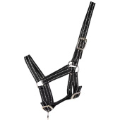 Fohlenhalfter HS Reflective Schwarz Fohlenhalfter HS Reflective Schwarz