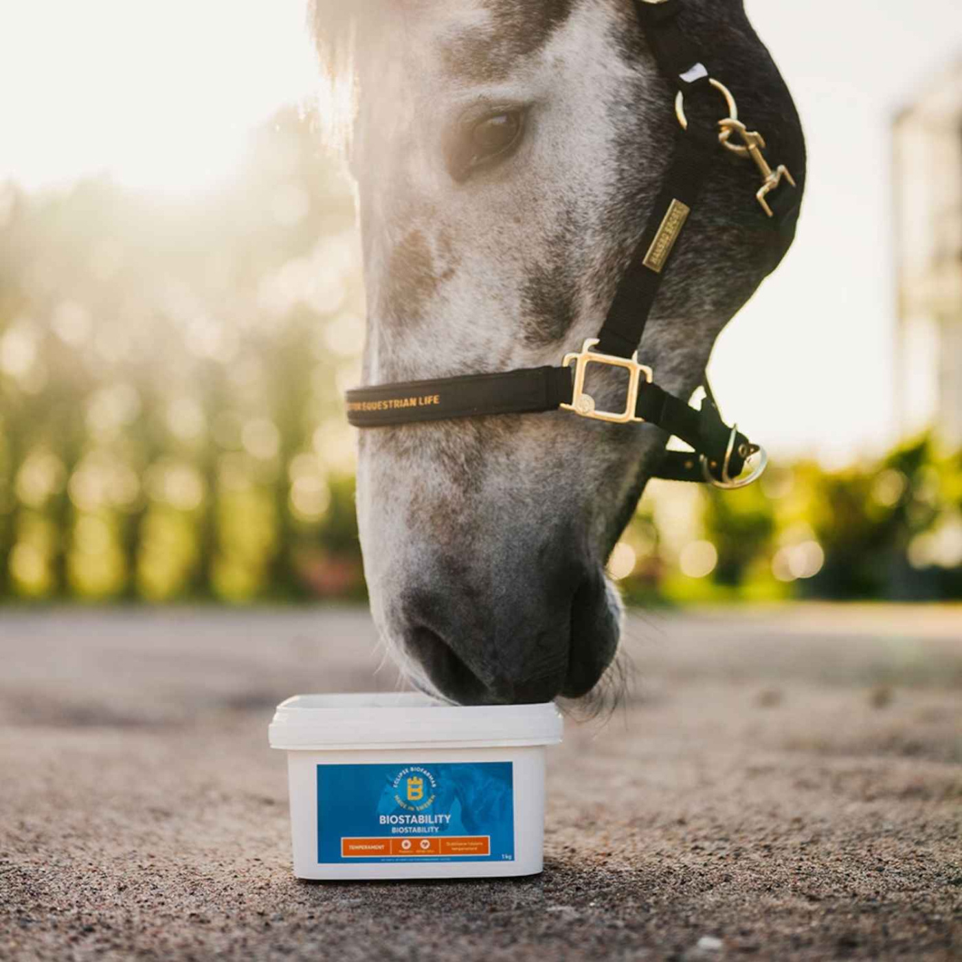 BioStability 1kg