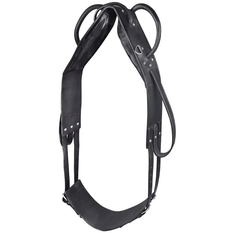 Voltigiergurt Leather Schwarz