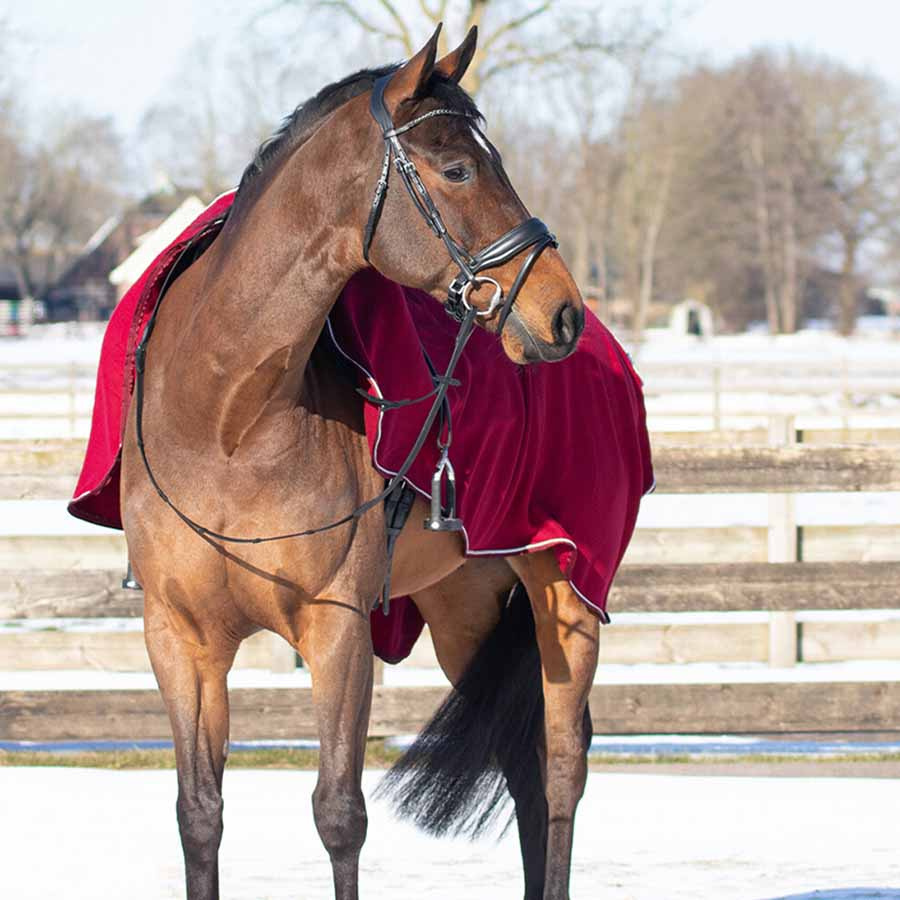 Ausreitdecke Ornament Fleece Bordeaux/Silber
