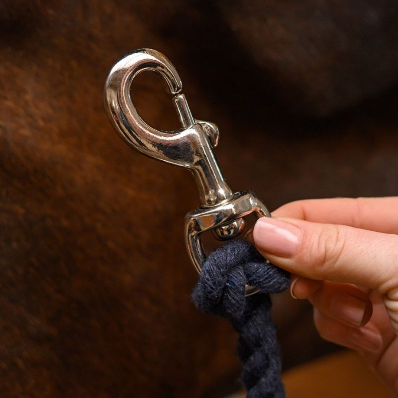 Karabiner für Führstrick Snap Hook Silber