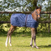 Fohlendecke Turnout 600D 100g Marineblau Fohlendecke Turnout 600D 100g Marineblau