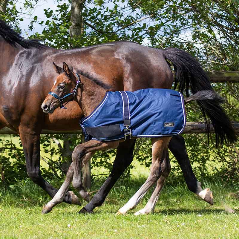 Fohlendecke Turnout 600D 100g Marineblau