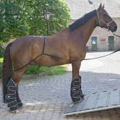 Verladehilfe Transport Aid Schwarz Verladehilfe Transport Aid Schwarz
