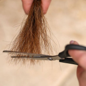 Schere Mähne & Schweif Easy Cut Schwarz Schere Mähne & Schweif Easy Cut Schwarz