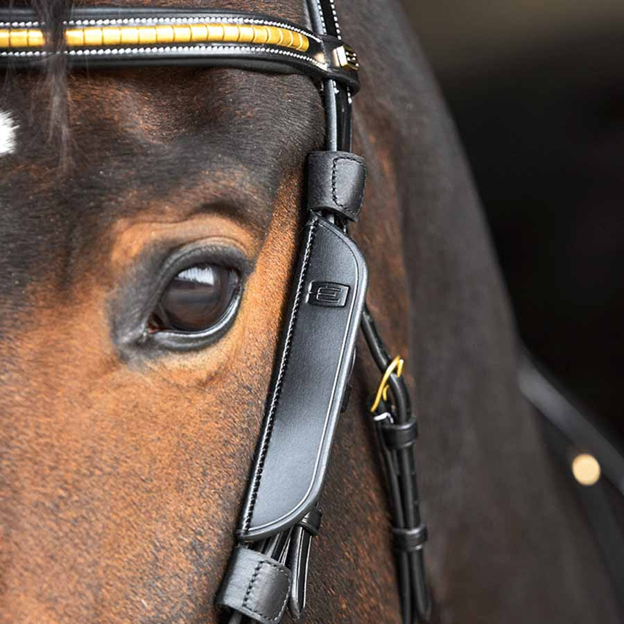 Focus Blinkers für Backenstück Schwarz