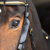 Focus Blinkers für Backenstück Schwarz Focus Blinkers für Backenstück Schwarz