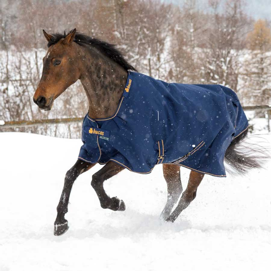 Winterdecke Irish Turnout 300g Marineblau/Gold