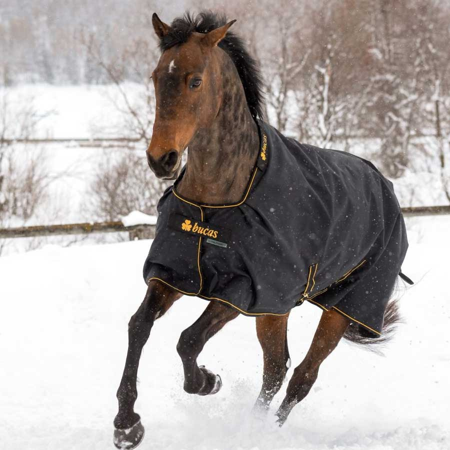 Winterdecke Irish Turnout 300g Schwarz/Gold