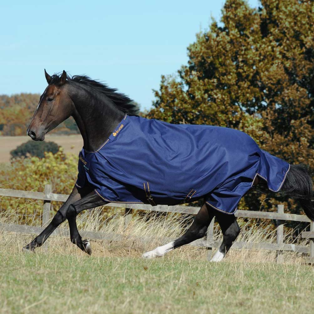 Winterdecke Irish Turnout 150g Marineblau/Gold