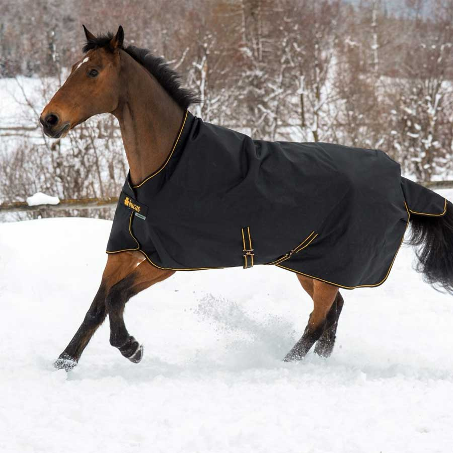 Winterdecke Irish Turnout 150g Schwarz/Gold