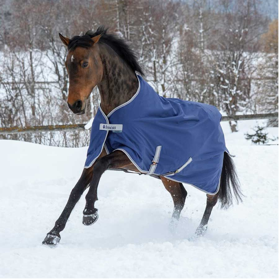 Winterdecke Pony Freedom Turnout 150g Marineblau