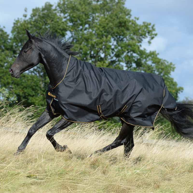 Regendecke Irish Turnout 0g Schwarz/Gold