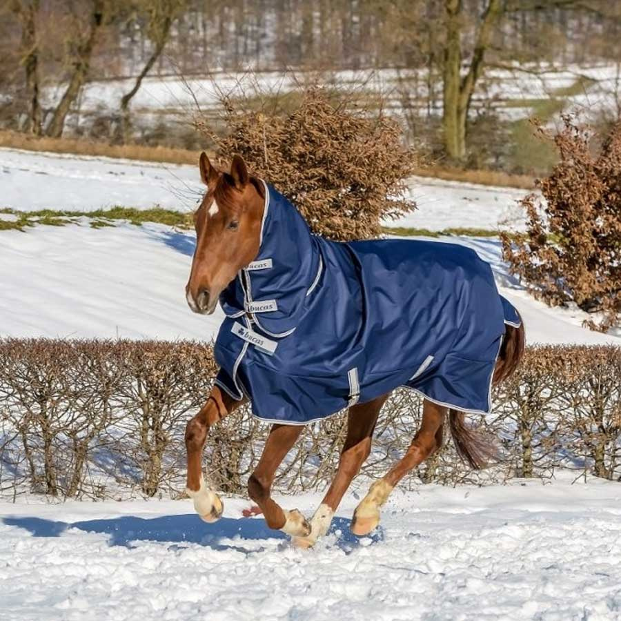 Winterdecke mit Hals Freedom Turnout 300g Marineblau