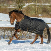 Winterdecke Irish Turnout 250g Schwarz/Gold Winterdecke Irish Turnout 250g Schwarz/Gold