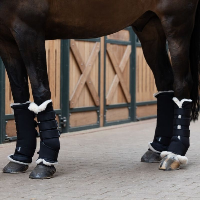 Untersetzer Evo Wool till Stallbandage Pro Natur