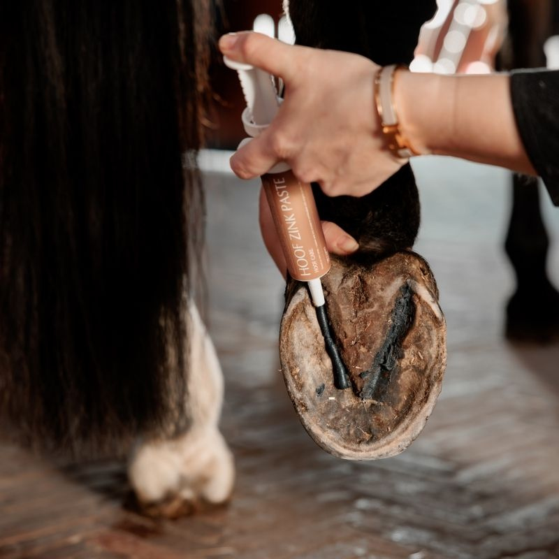 Hufsalbe Equi Hoof Zinc Paste 60ml