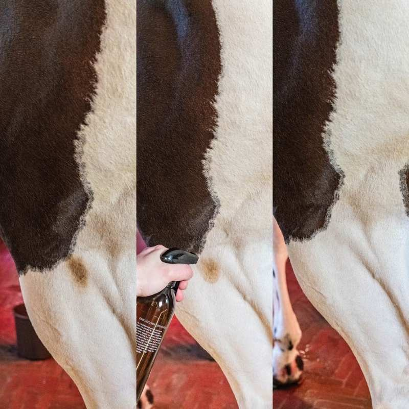 Trockenshampoo Green Spot & Dust Remover Almond 500ml