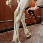 Trockenshampoo Green Spot & Dust Remover Almond 500ml Trockenshampoo Green Spot & Dust Remover Almond 500ml