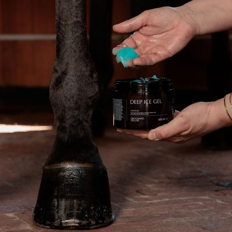 Kühlgel Deep Ice Gel 500ml