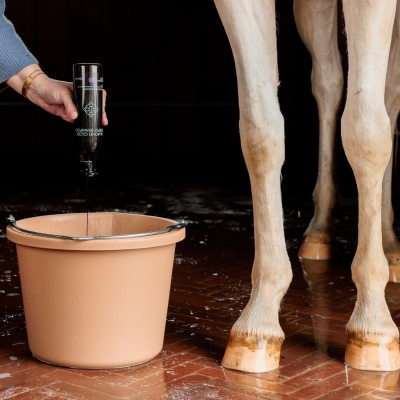 Schimmelshampoo Almond Gloss Purple 500ml