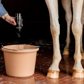 Schimmelshampoo Almond Gloss Purple 500ml Schimmelshampoo Almond Gloss Purple 500ml