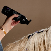 Schimmelshampoo Almond Gloss Purple 500ml Schimmelshampoo Almond Gloss Purple 500ml