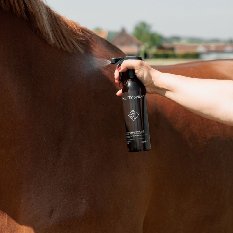 Fliegenspray Anti Fly Spray 500ml