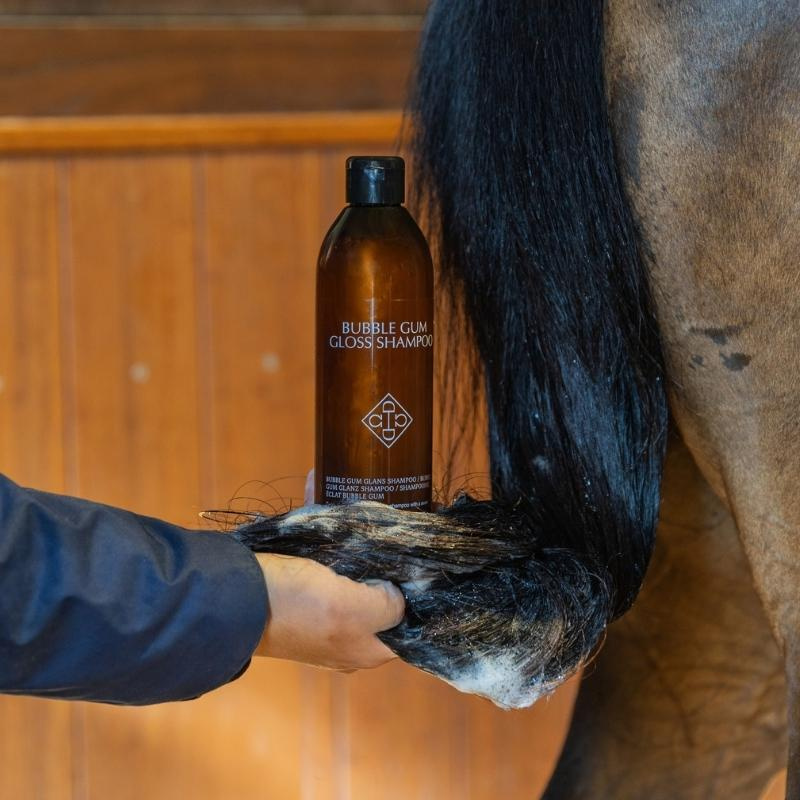 Shampoo Bubble Gum Gloss 500ml