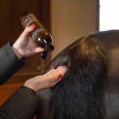 Mane, Tail & Hair Growth Serum 500ml Mane, Tail & Hair Growth Serum 500ml