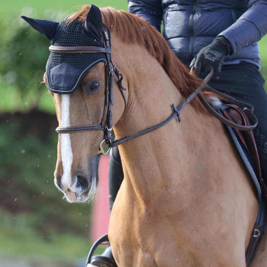 Haube Show-Line Marineblau
