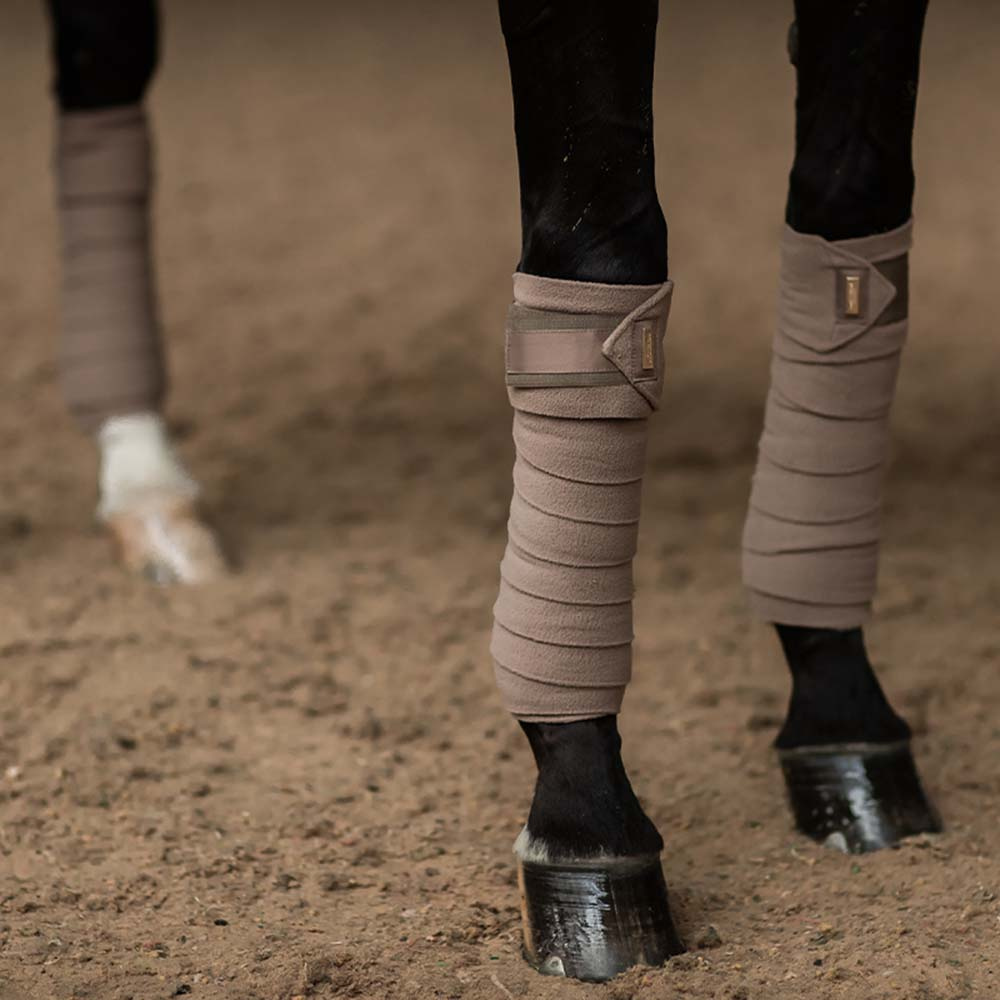 Bandagen ES Champagne