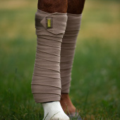 Bandagen ES Champagne Bandagen ES Champagne