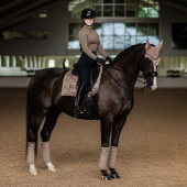 Bandagen ES Champagne Bandagen ES Champagne