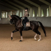 Bandagen ES Champagne Bandagen ES Champagne