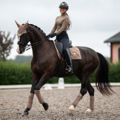 Bandagen ES Champagne Bandagen ES Champagne