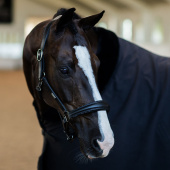 Anatomisches Lederhalfter ES Glimmer Black Edition Anatomisches Lederhalfter ES Glimmer Black Edition