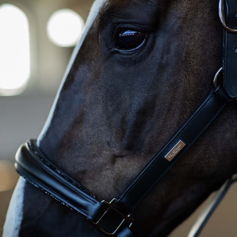 Anatomisches Lederhalfter ES Glimmer Black Edition