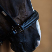 Anatomisches Lederhalfter ES Glimmer Black Edition Anatomisches Lederhalfter ES Glimmer Black Edition