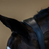 Anatomisches Lederhalfter ES Glimmer Black Edition Anatomisches Lederhalfter ES Glimmer Black Edition