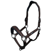 Anatomisches Lederhalfter ES Glimmer All Brown Anatomisches Lederhalfter ES Glimmer All Brown