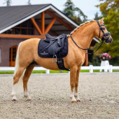 Dressurschabracke ES Line Black Dressurschabracke ES Line Black