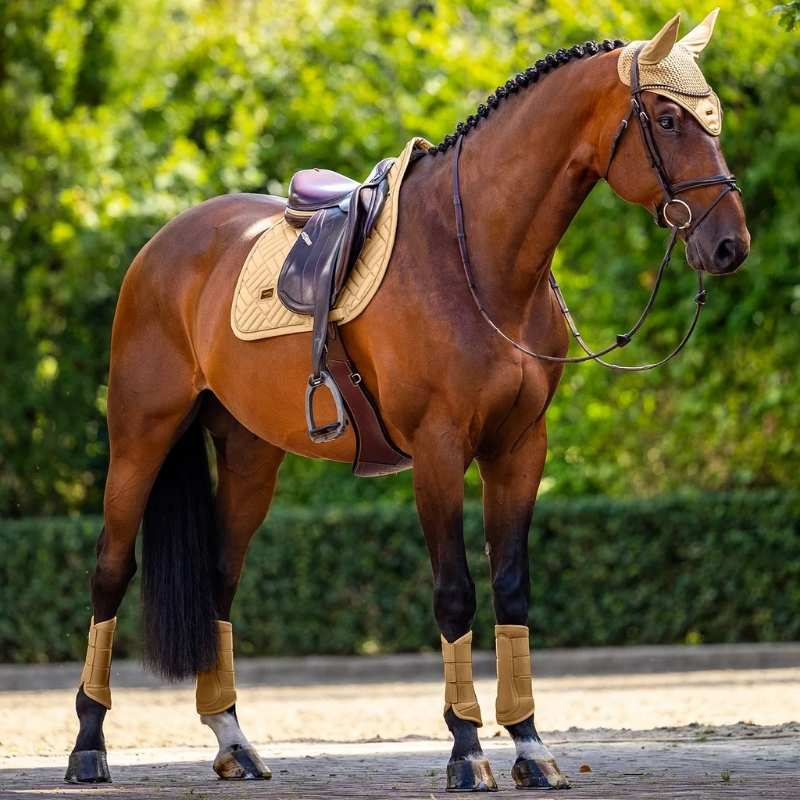 Schabracke ES Modern Midsummer Glow