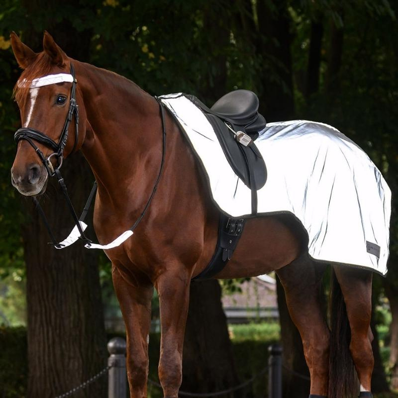 Ausreitdecke Reflex Silber