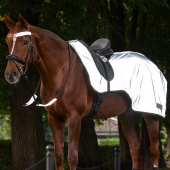 Ausreitdecke Reflex Silber Ausreitdecke Reflex Silber
