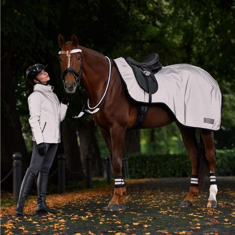 Ausreitdecke Reflex Silber
