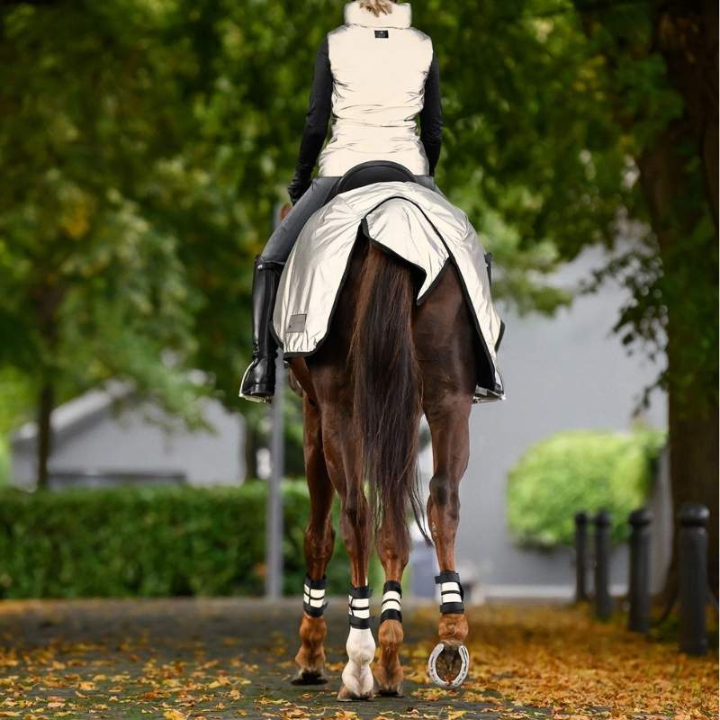 Ausreitdecke Reflex Silber