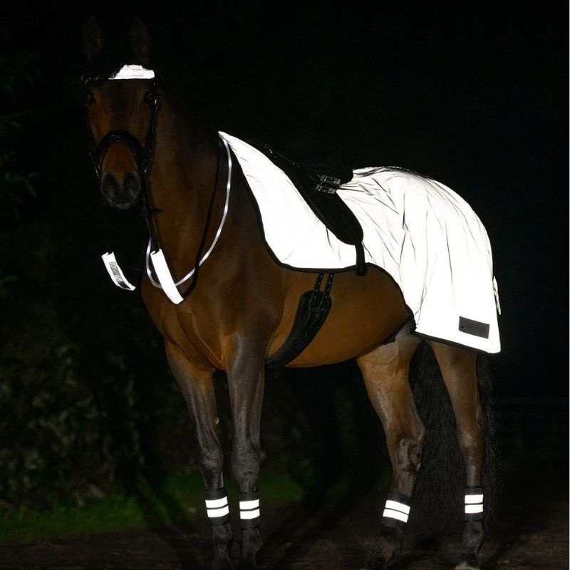Ausreitdecke Reflex Silber