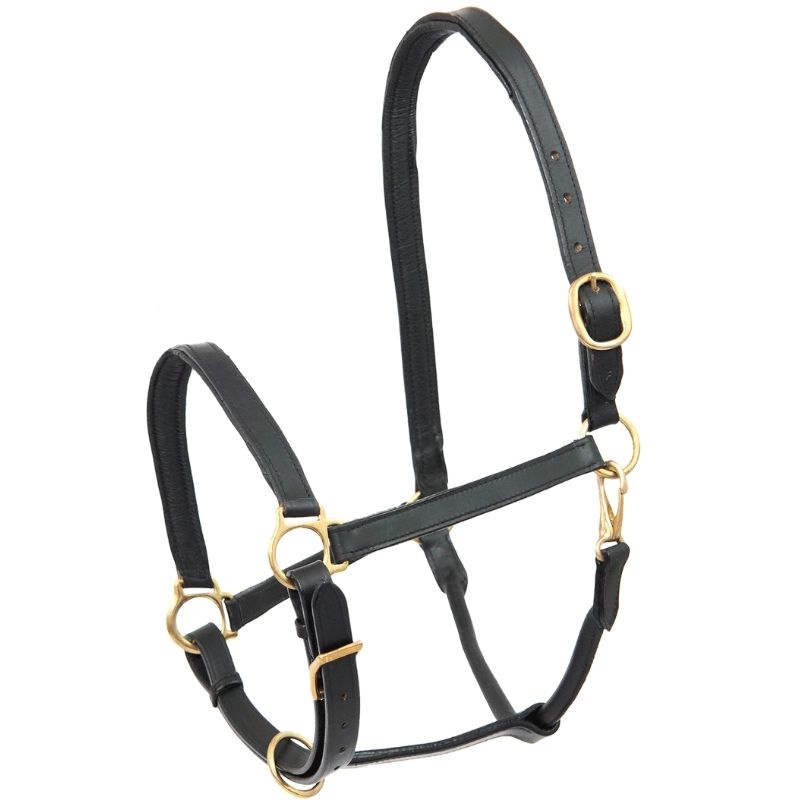 Lederhalfter Robust Schwarz