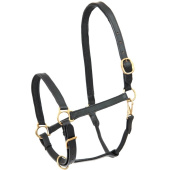 Lederhalfter Robust Schwarz Lederhalfter Robust Schwarz